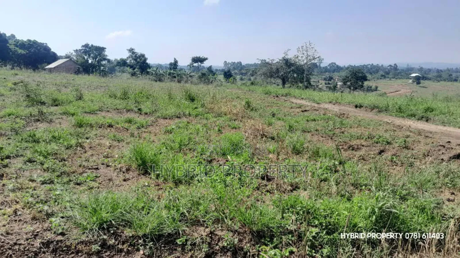 Prime Plots for Sale at Kakiri~Kikugi Clear View Estate Along Hoima Rd