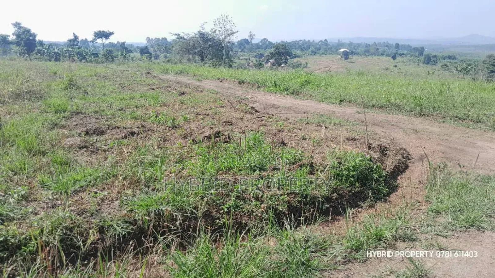 Prime Plots for Sale at Kakiri~Kikugi Clear View Estate Along Hoima Rd