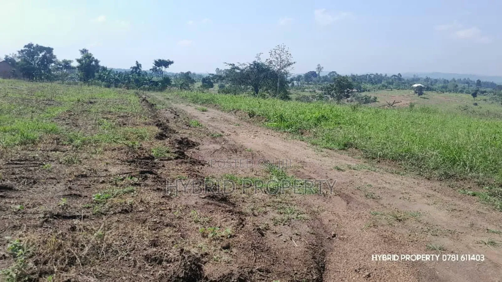 Prime Plots for Sale at Kakiri~Kikugi Clear View Estate Along Hoima Rd