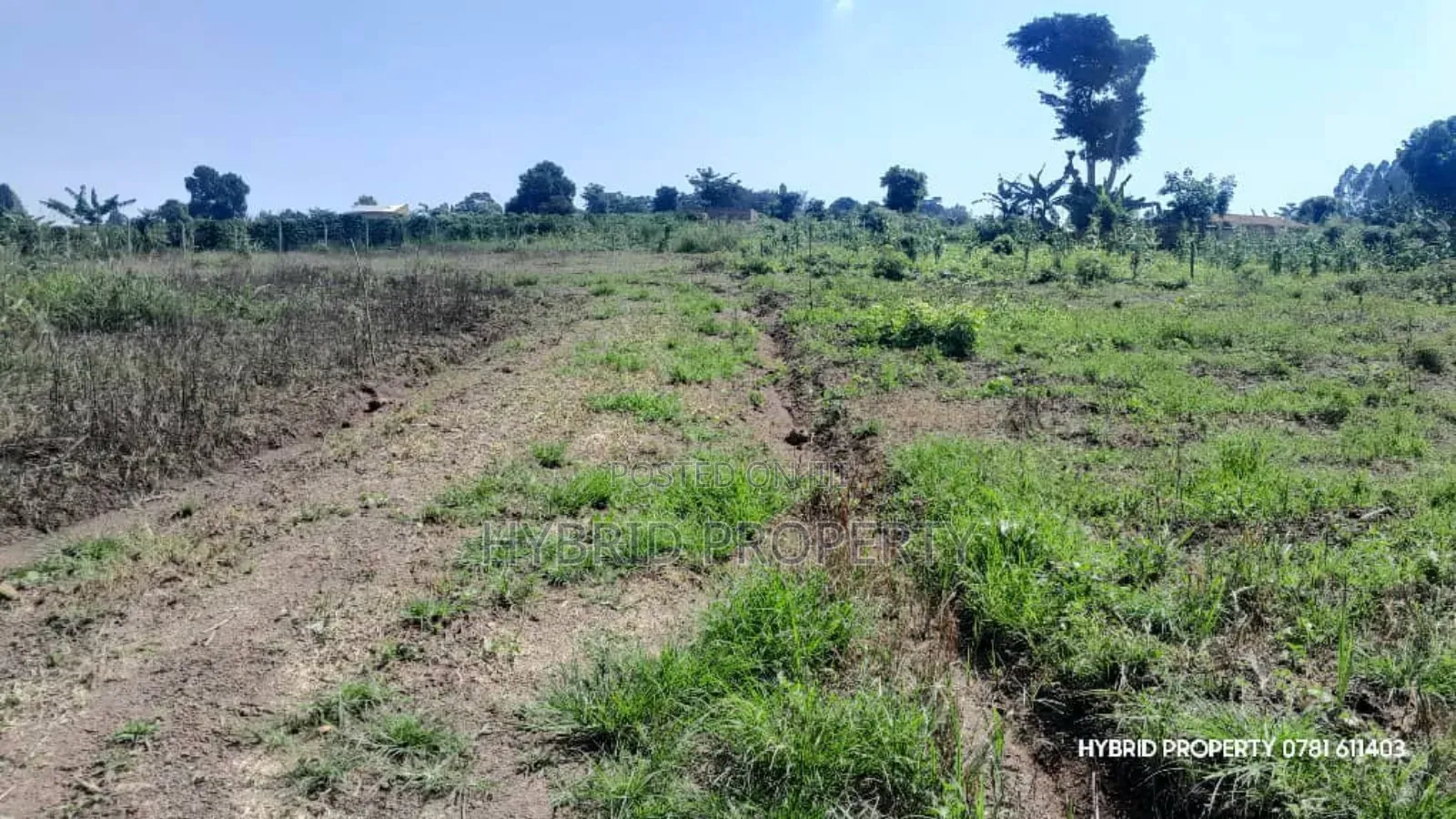 Prime Plots for Sale at Kakiri~Kikugi Clear View Estate Along Hoima Rd