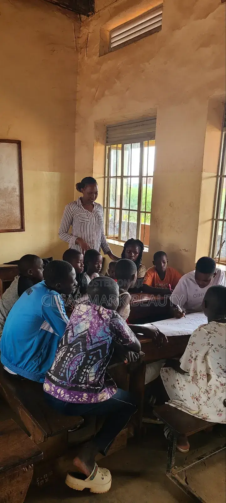 Mentorship Programs for in and Out of School