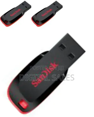 Sandisk Usb Flash Drive
