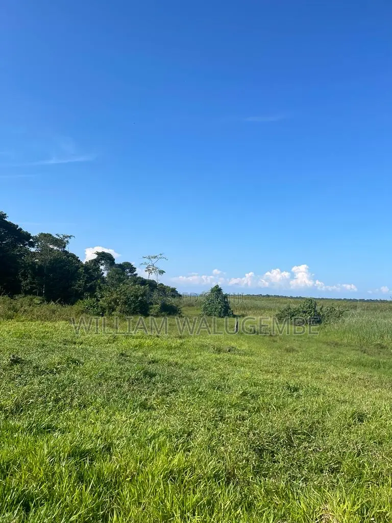 53 Acres of Lake Side