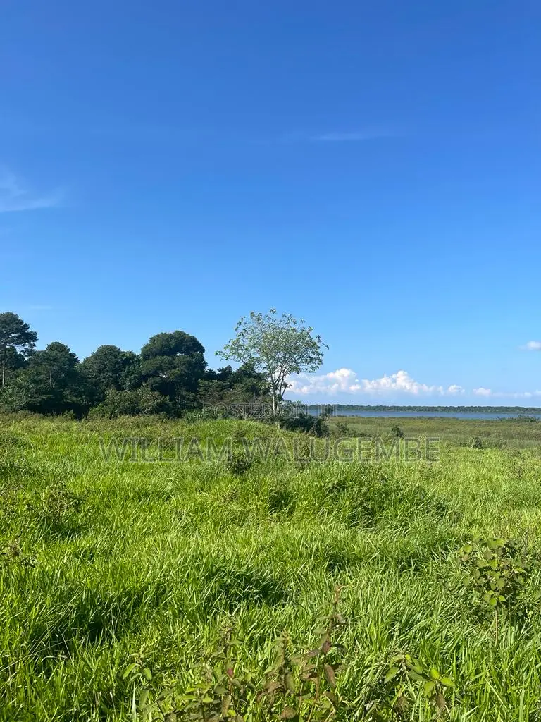 53 Acres of Lake Side