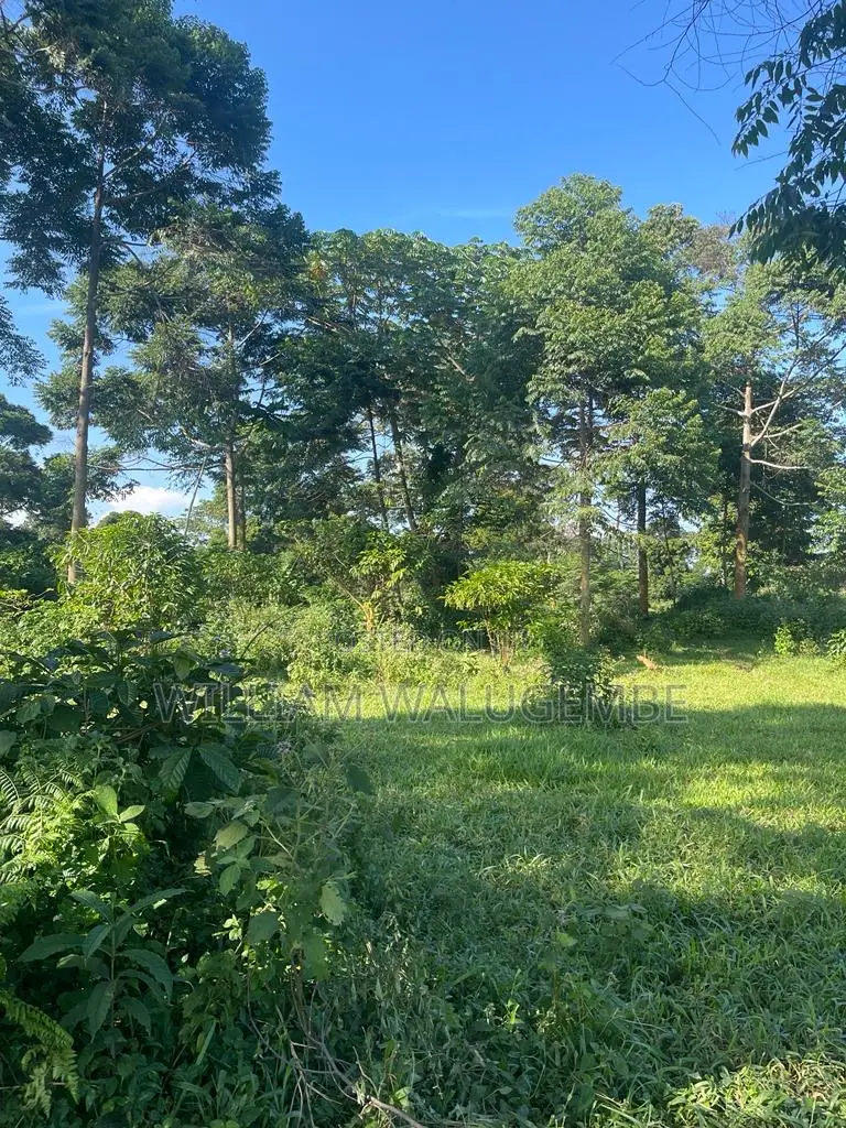 53 Acres of Lake Side