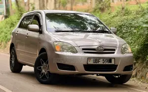 Toyota Allex 2006 Silver