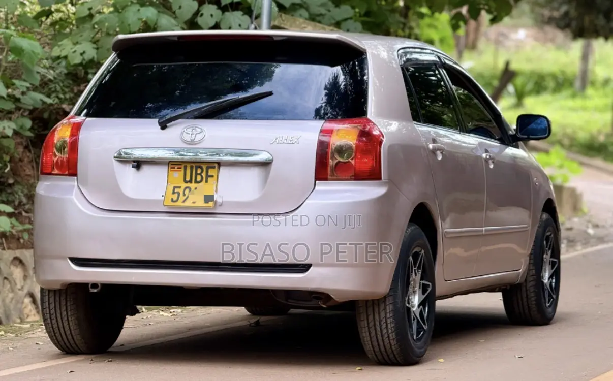 Toyota Allex 2006 Silver