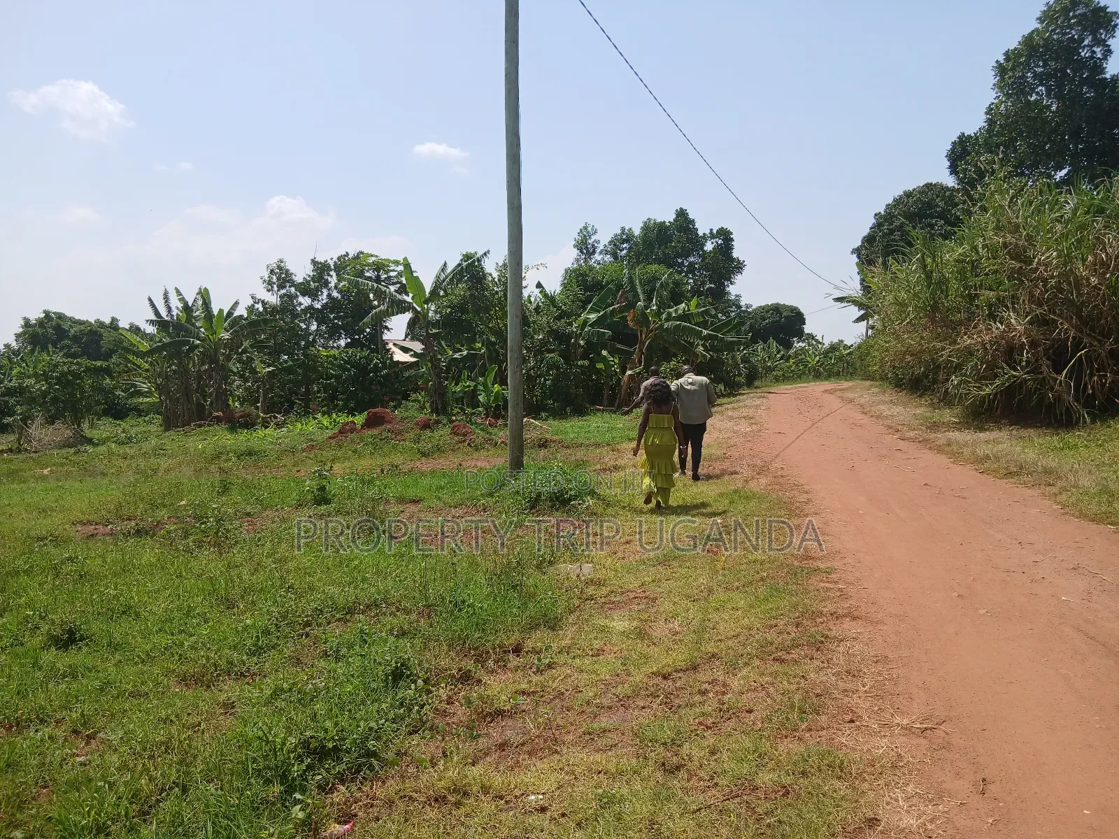 Several 50x100ft Plots at Kiwenda Wikiso District