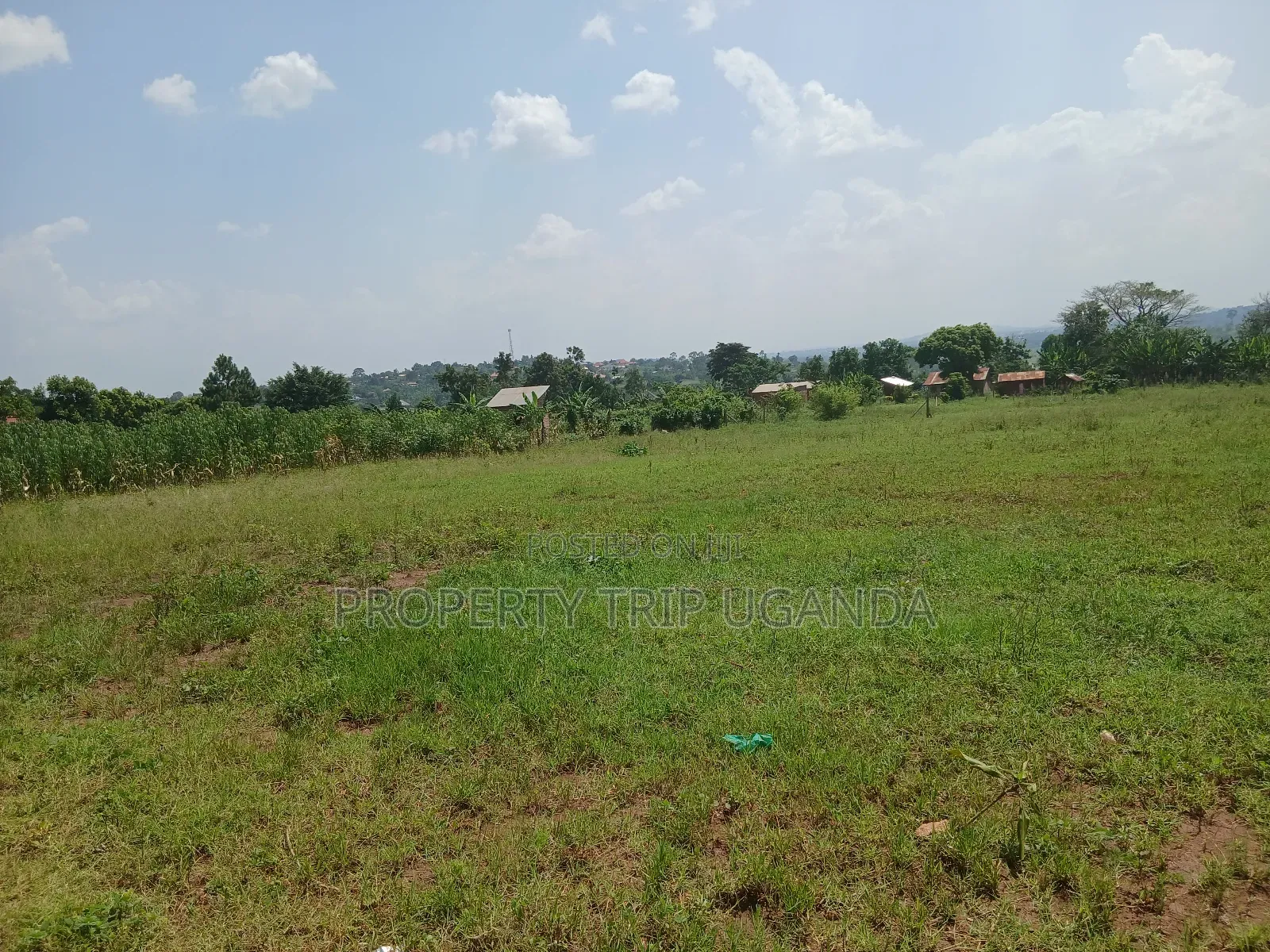 Several 50x100ft Plots at Kiwenda Wikiso District