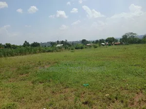 Several 50x100ft Plots at Kiwenda Wikiso District
