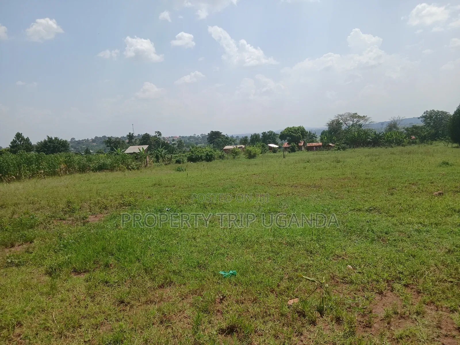 Several 50x100ft Plots at Kiwenda Wikiso District