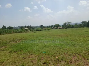 Several 50x100ft Plots at Kiwenda Wikiso District