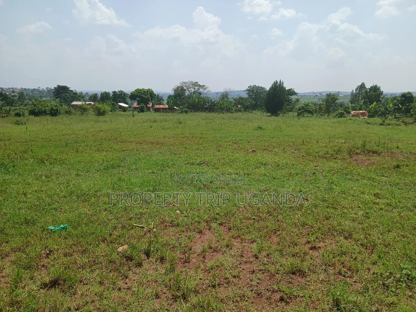 Several 50x100ft Plots at Kiwenda Wikiso District