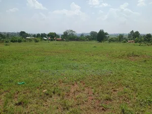Several 50x100ft Plots at Kiwenda Wikiso District