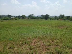 Several 50x100ft Plots at Kiwenda Wikiso District