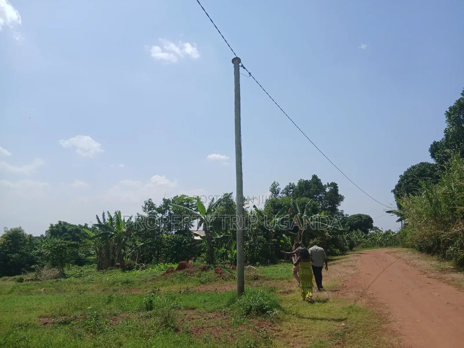 Several 50x100ft Plots at Kiwenda Wikiso District