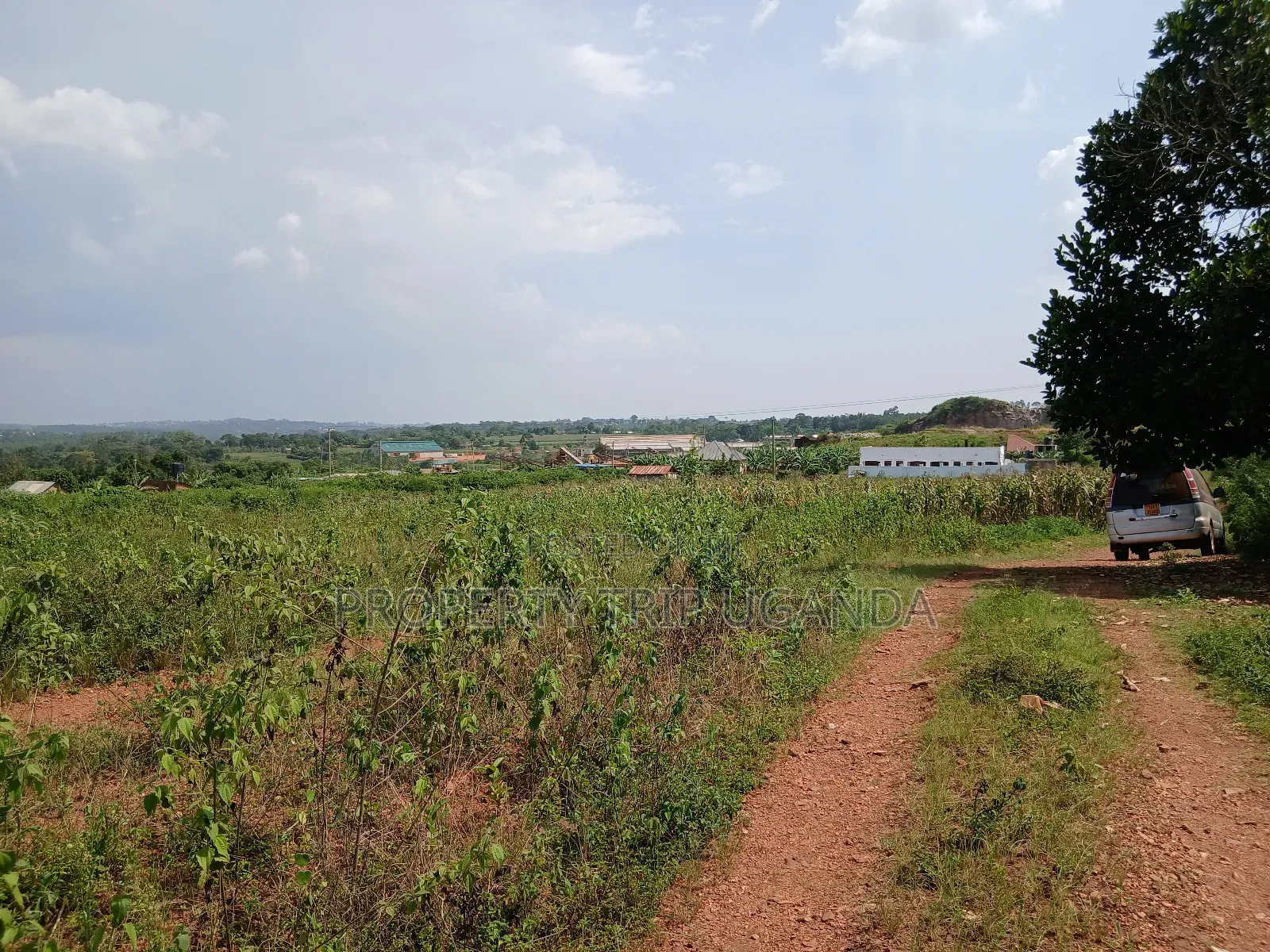 2 50x100ft Plots for Sale at Nakassaja Kasenene