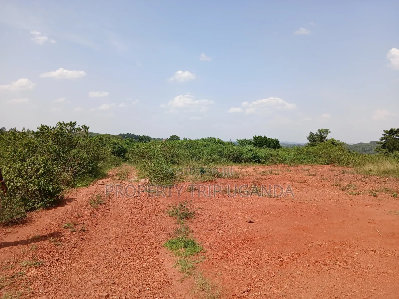 2 50x100ft Plots for Sale at Nakassaja Kasenene