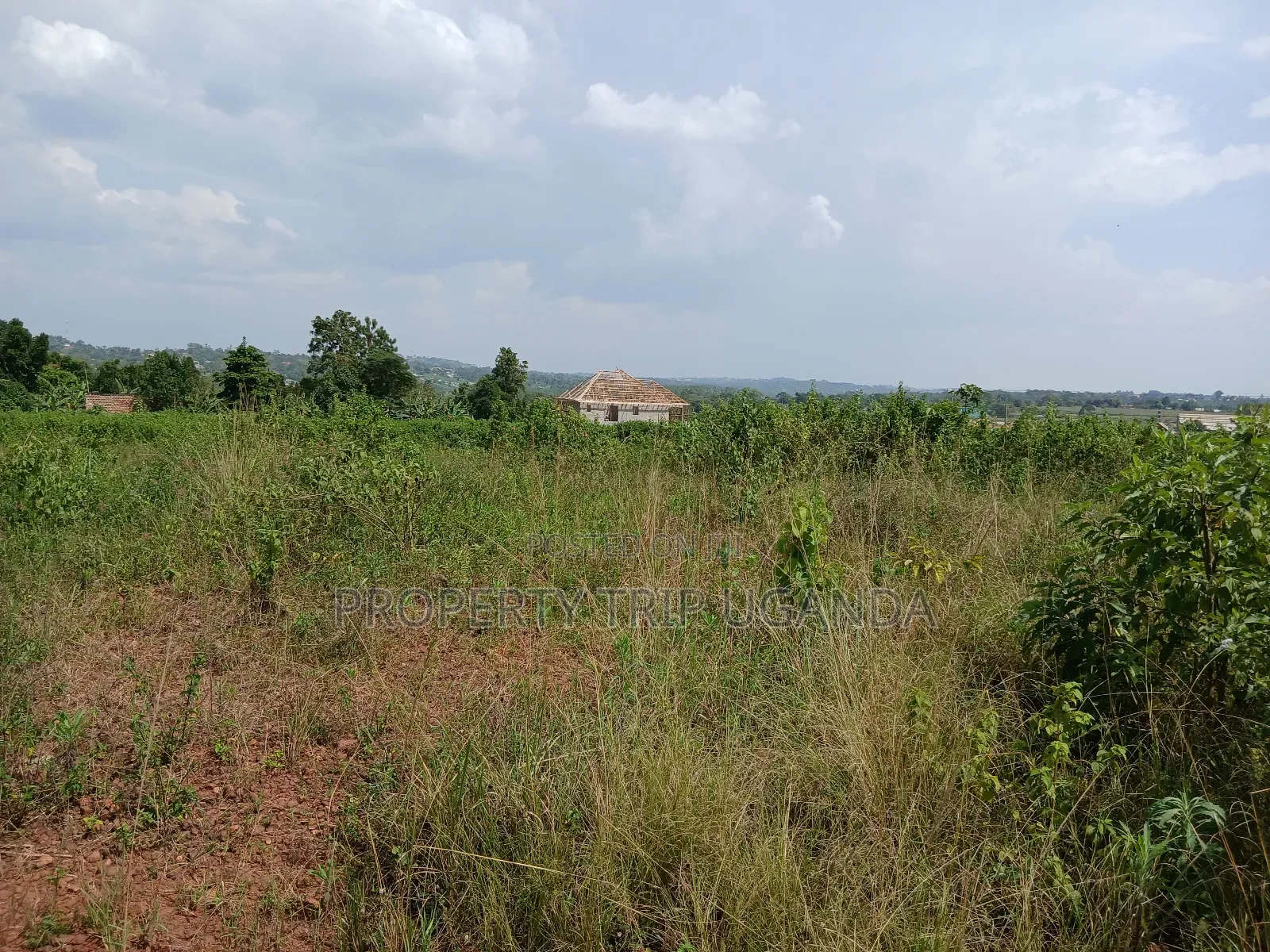 2 50x100ft Plots for Sale at Nakassaja Kasenene