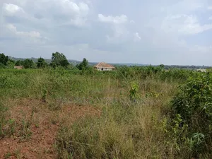 2 50x100ft Plots for Sale at Nakassaja Kasenene