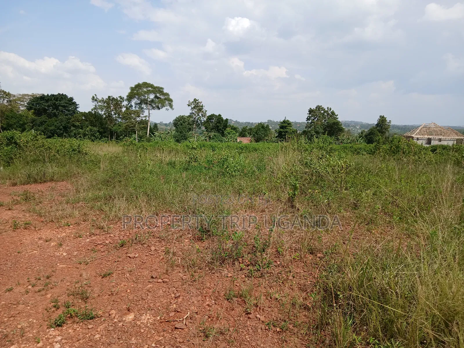 2 50x100ft Plots for Sale at Nakassaja Kasenene