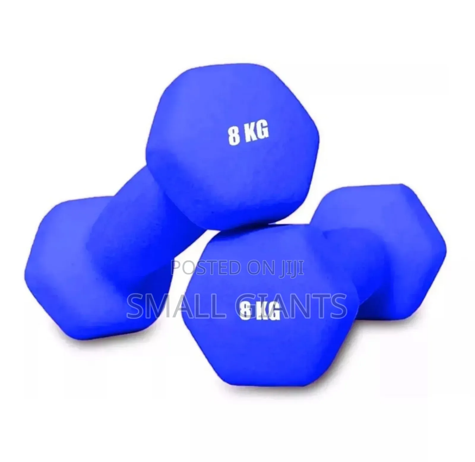 Pair of Blue Neoprene Dumbbells, Each Weighing 8 Kg.