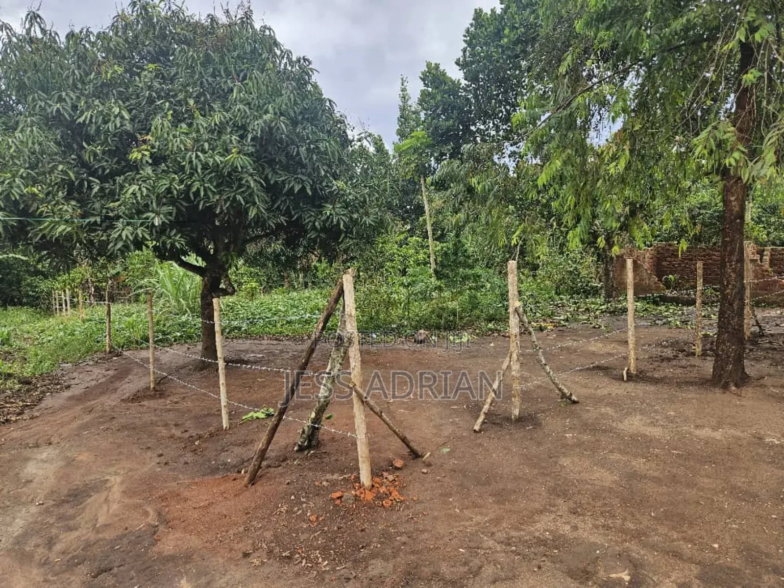 5plots on Sell Early Bird