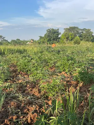 Plot at Buyuki Busiika Gayaza Rd at Only 3.8m