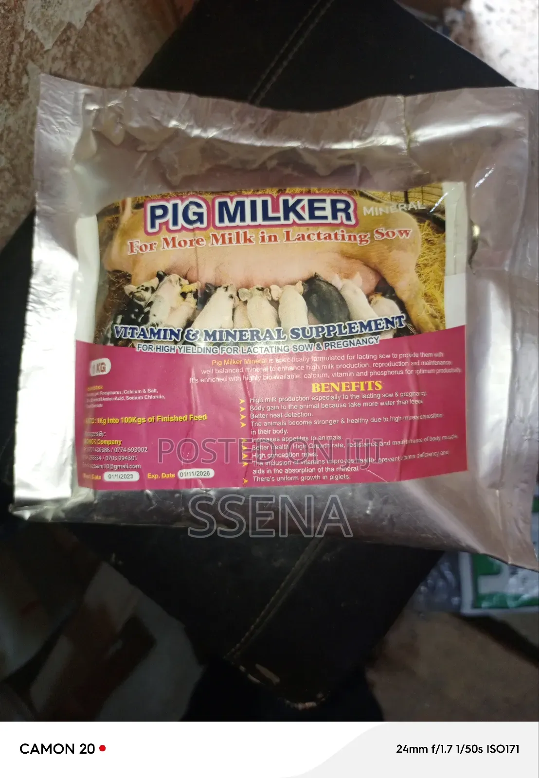 Pig Milker( For More Milk In Lactating Sow)