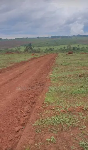 *Luwero Kasana 50 Acres on Sale Each at 14m With Ready Land Title Land