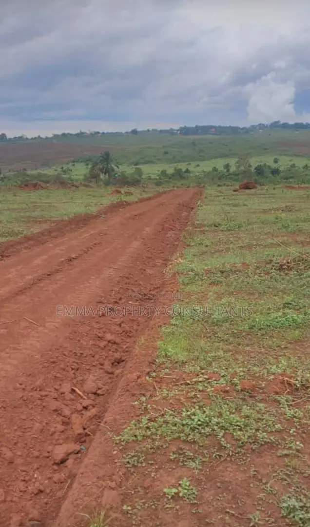 *Luwero Kasana 50 Acres on Sale Each at 14m With Ready Land Title Land