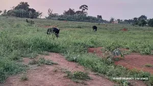 Prime Plots For Sale At Wakiso~Banda Prestigious Mega Estate~Hoima Rd.
