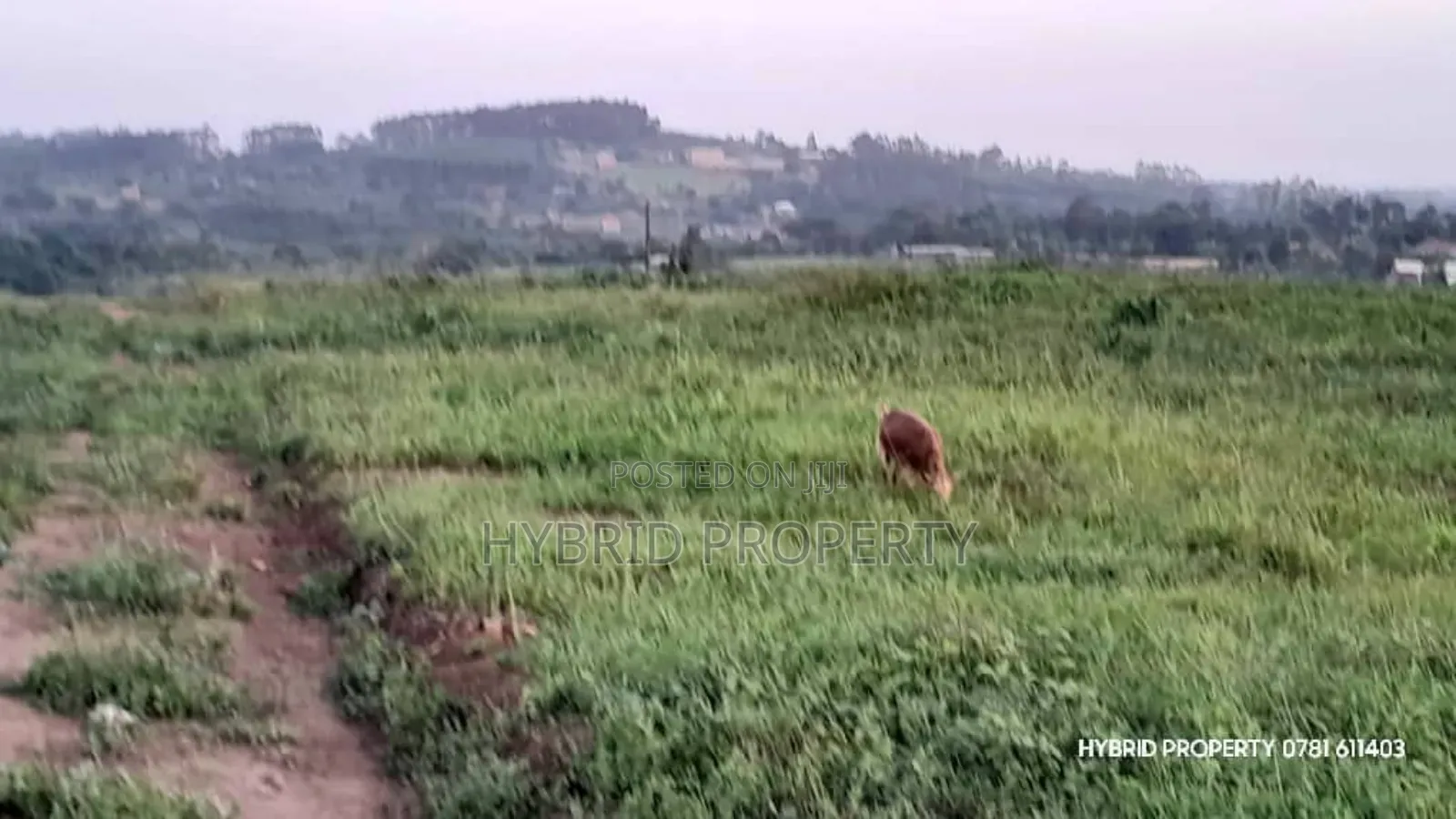 Prime Plots For Sale At Wakiso~Banda Prestigious Mega Estate~Hoima Rd.
