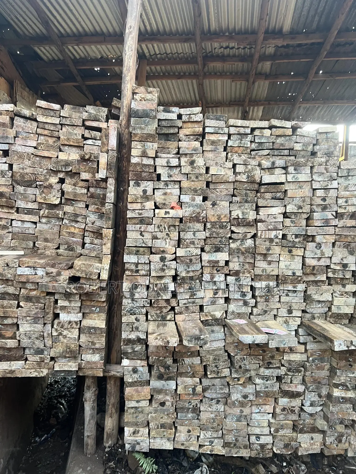 Selling Timbers, Payani In Oll Siz