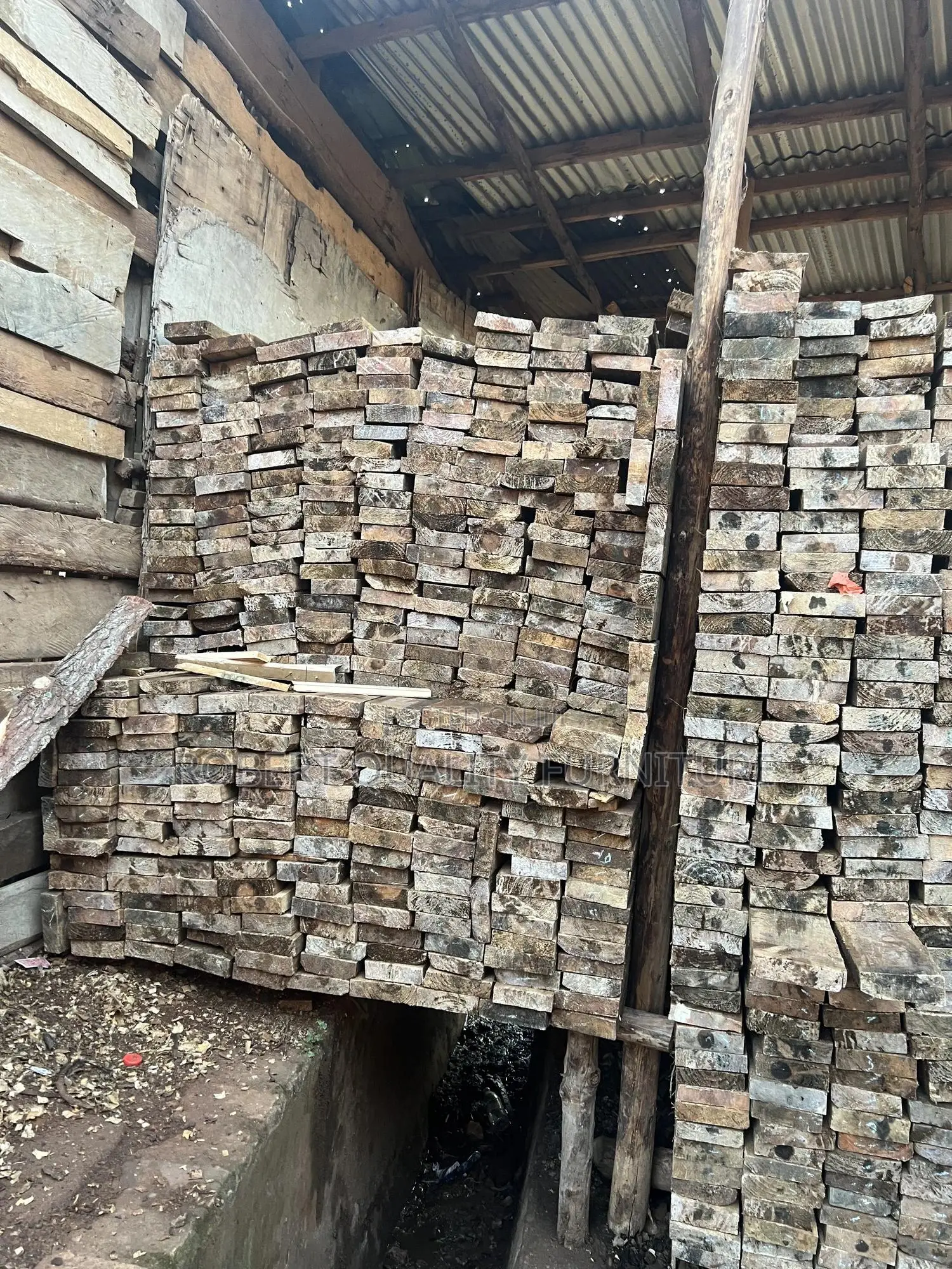 Selling Timbers, Payani In Oll Siz