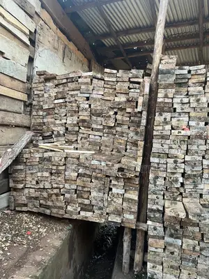 Selling Timbers, Payani In Oll Siz