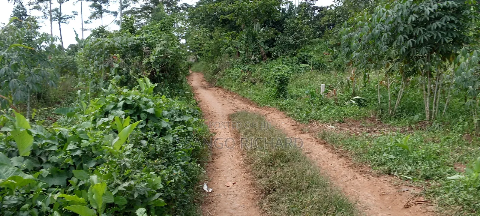 3 Plots in Mukono Mbalala 2km