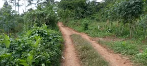 3 Plots in Mukono Mbalala 2km