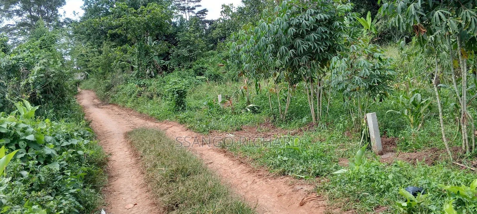 3 Plots in Mukono Mbalala 2km