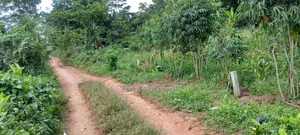 3 Plots in Mukono Mbalala 2km