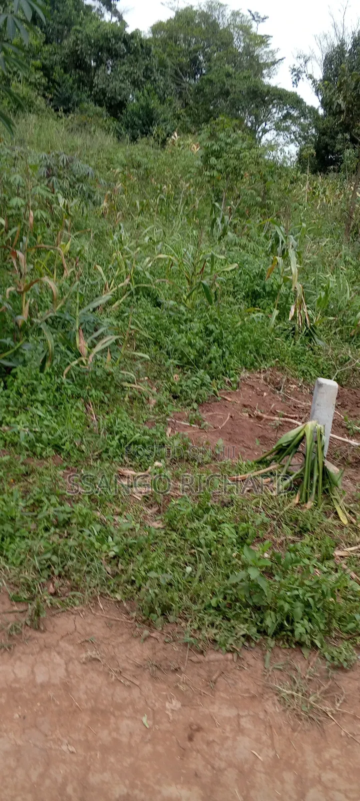 3 Plots in Mukono Mbalala 2km