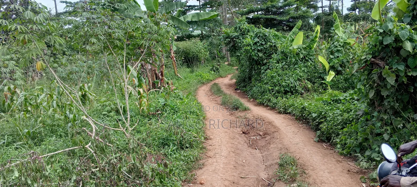 3 Plots in Mukono Mbalala 2km