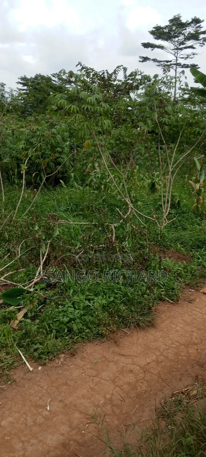 3 Plots in Mukono Mbalala 2km