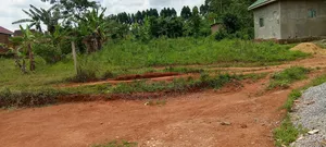 Plot in Kibanja or Titled