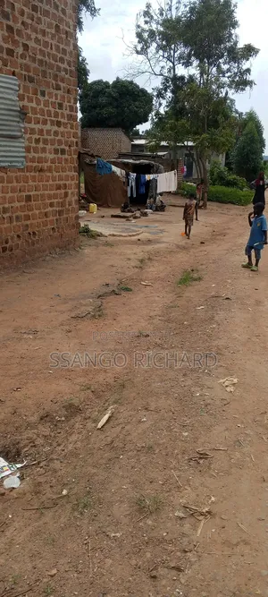 6m in Mukono Mbalala