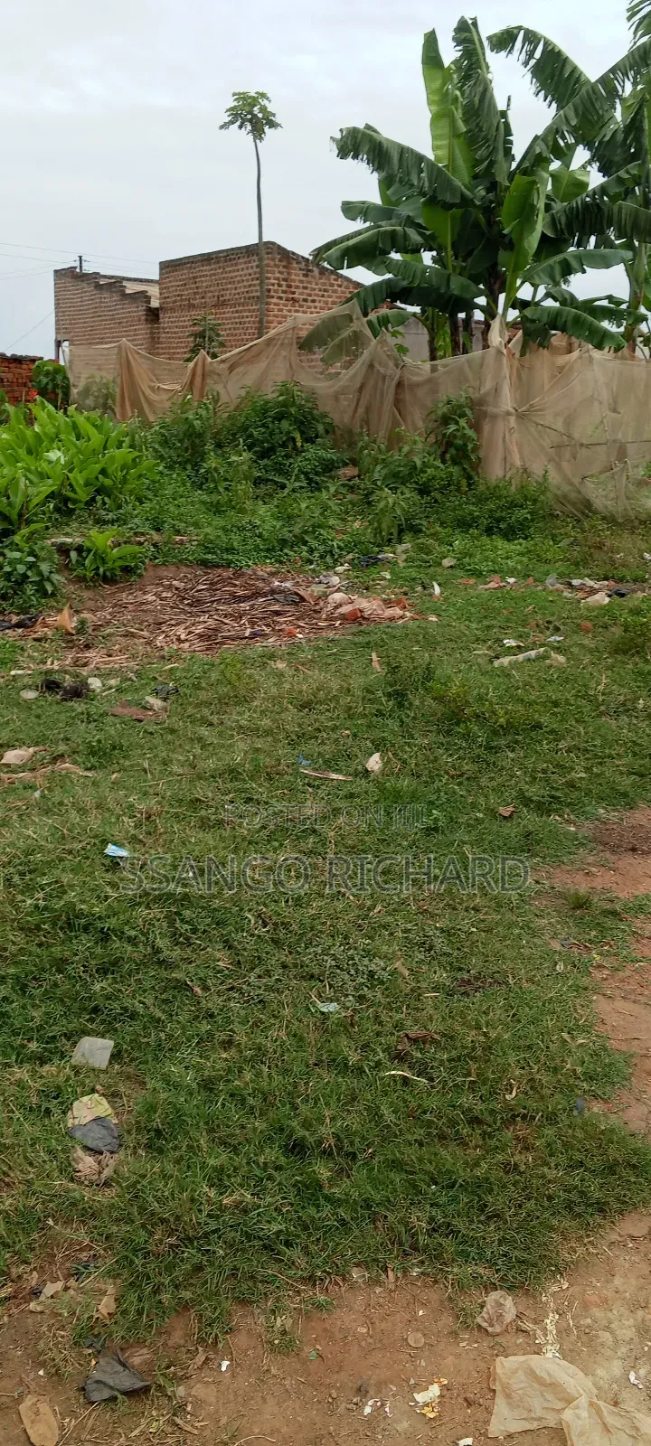6m in Mukono Mbalala
