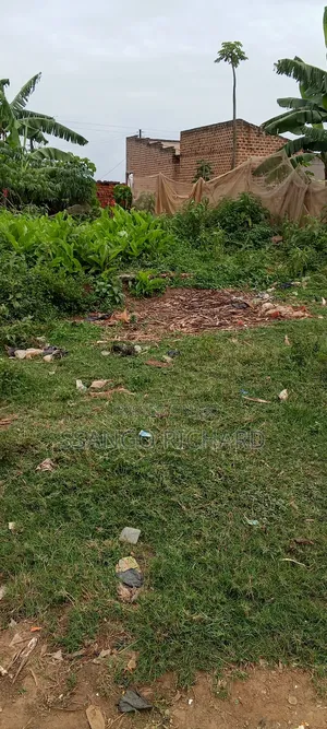 6m in Mukono Mbalala