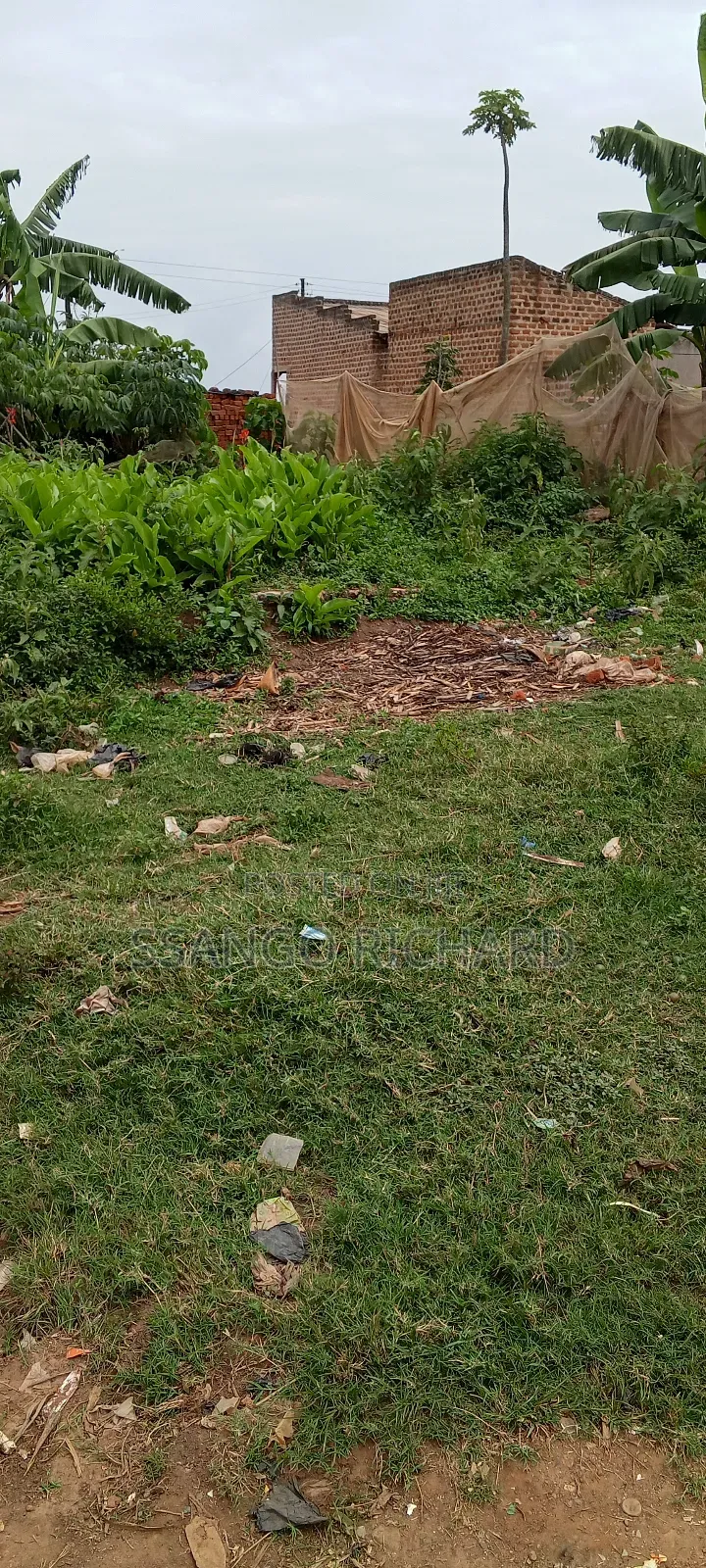 6m in Mukono Mbalala