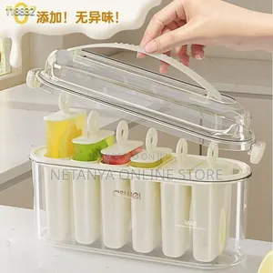 Reusable Popsicle Ice Moulds