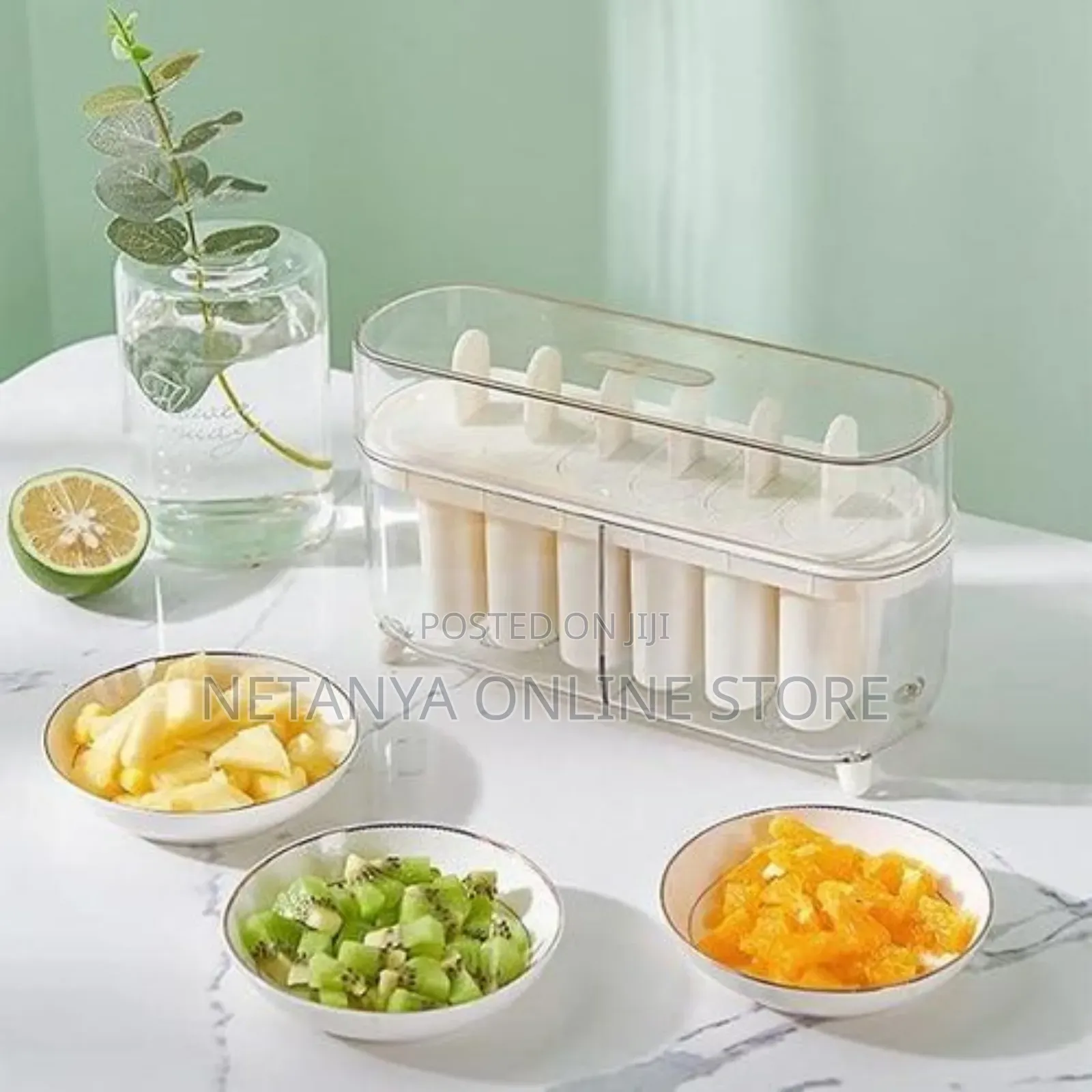Reusable Popsicle Ice Moulds